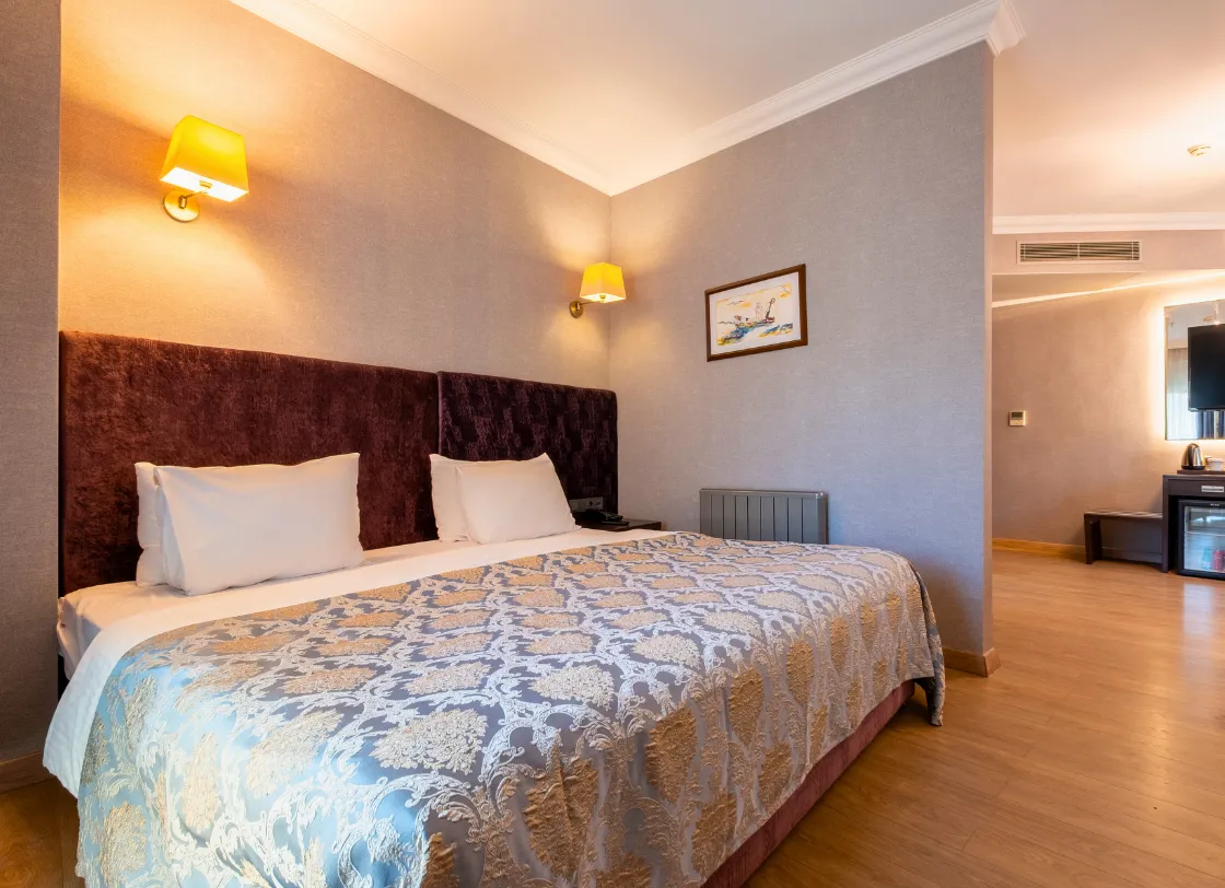 Deluxe Studyo - Gebze Günlük Kiralık Ev görseli 1